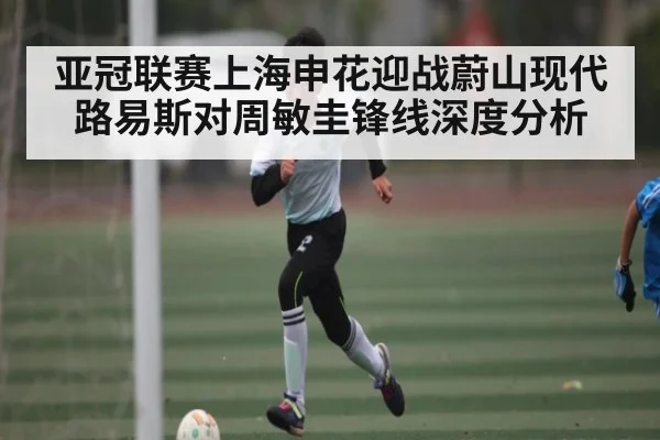 亚冠联赛上海申花迎战蔚山现代路易斯对周敏圭锋线深度分析